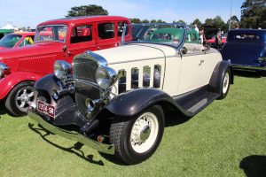 mold removal company