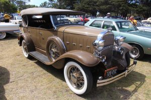 mold removal company