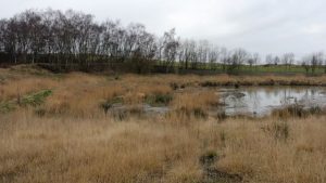water remediation