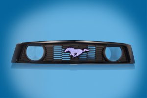 mold removal service