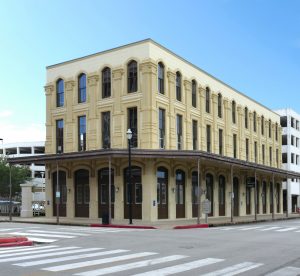 mold removal company